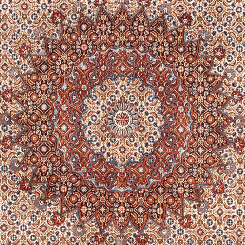Moud Koberec 290x200cm - Perský koberec