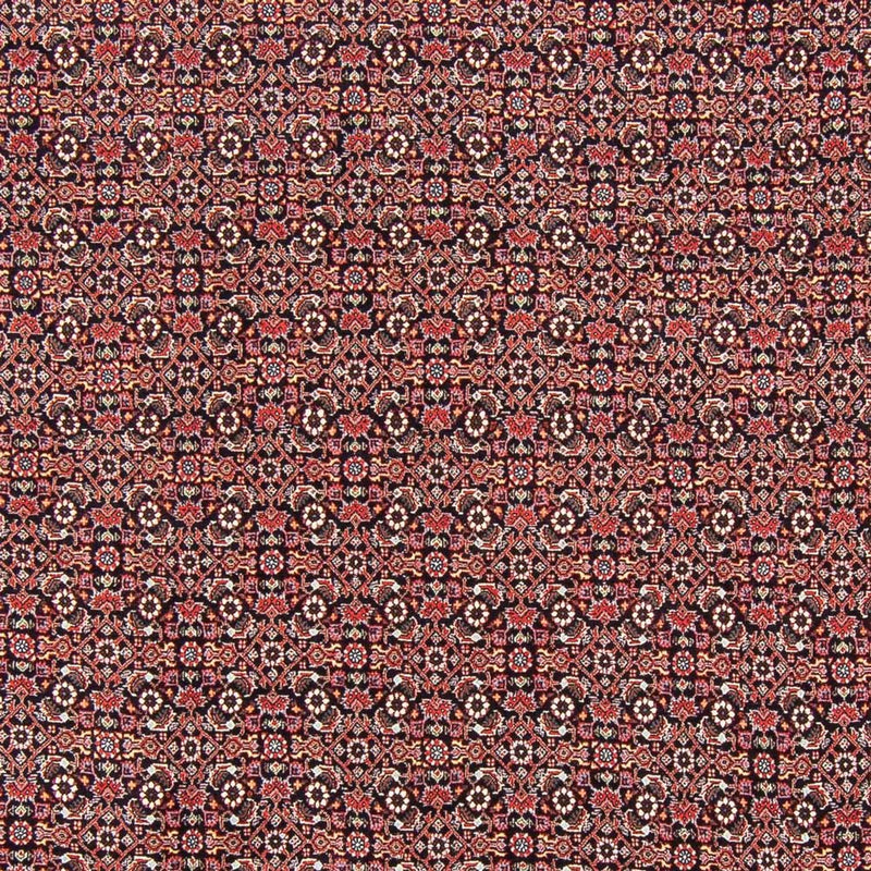 Bidjar - Takab Koberec 247x196cm - Perský koberec