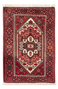 Gholtogh Koberec 60x86cm - Perský koberec – product image