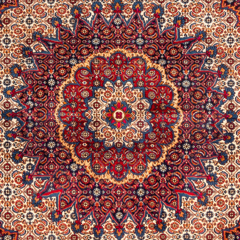 Moud Koberec 262x217cm - Perský koberec