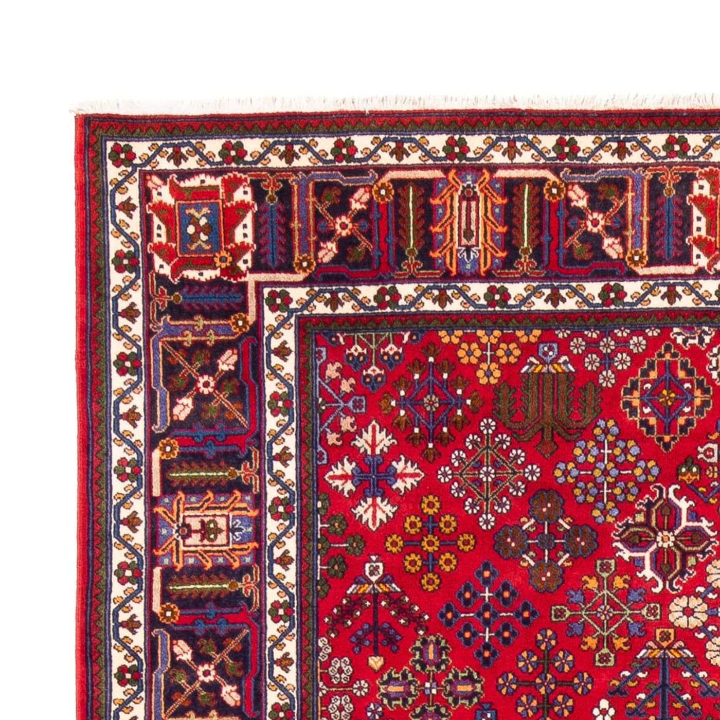 Sarouk Koberec 258x168cm - Perský koberec
