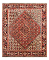 Bidjar - Bukan Koberec 233x200cm - Perský koberec – product image