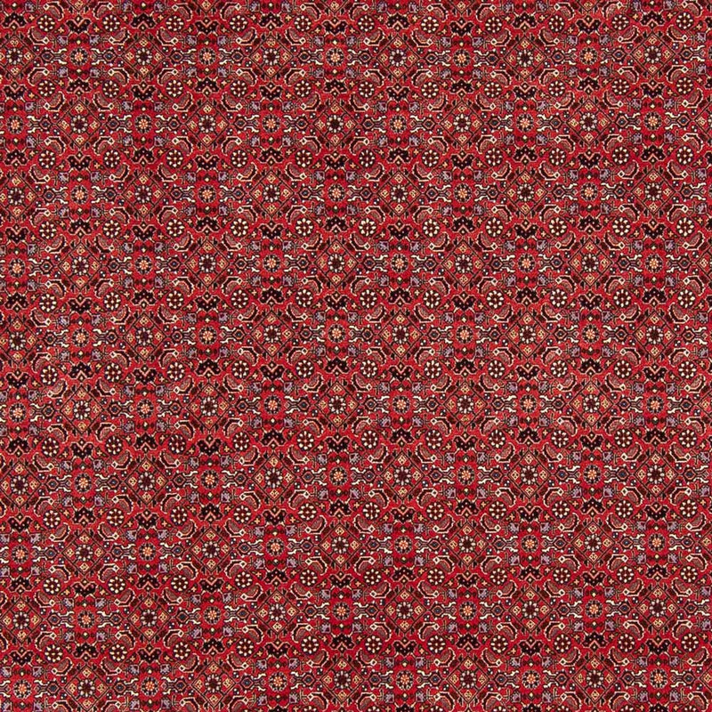 Bidjar Koberec 272x217cm - Perský koberec