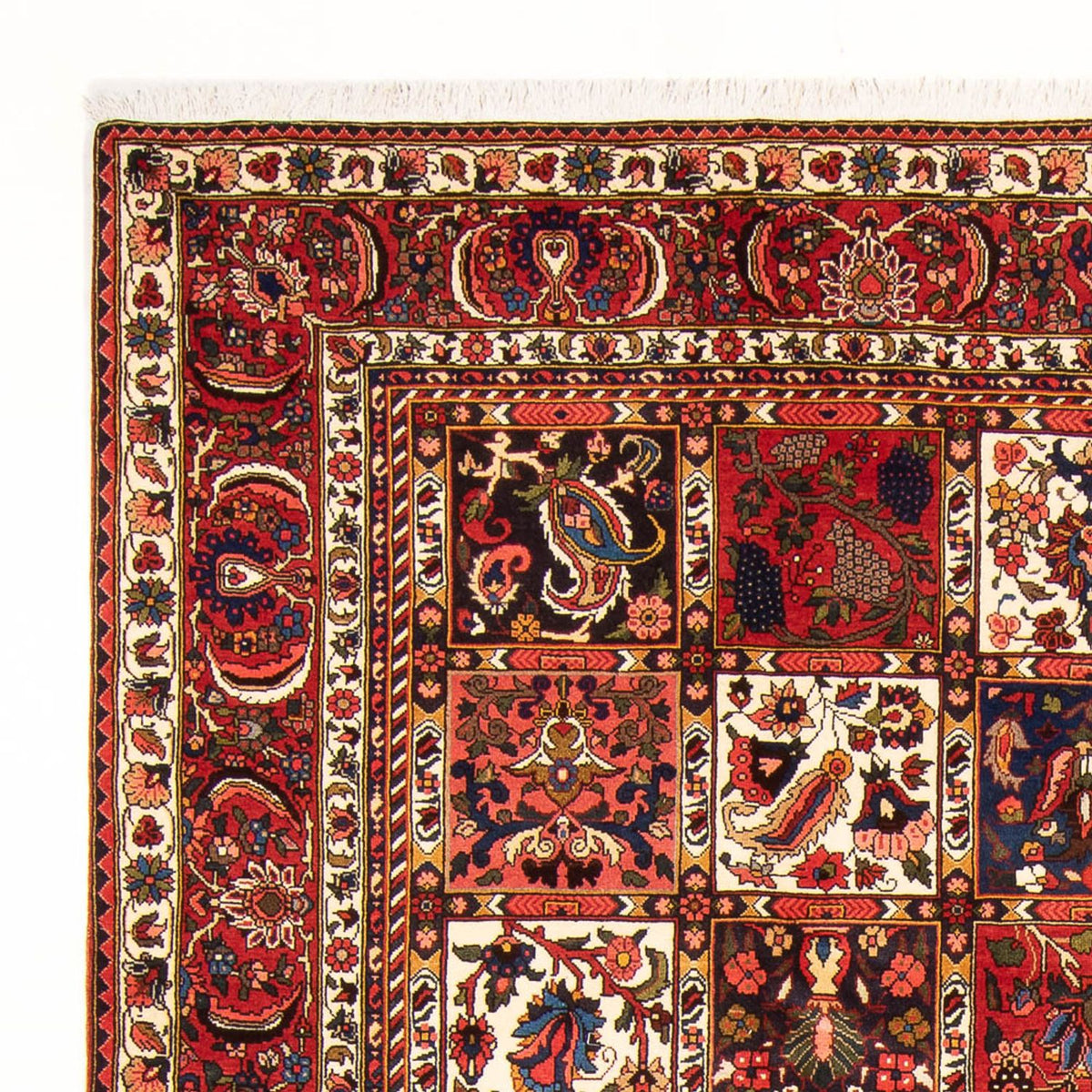 Bakhtiari Koberec 210x314cm - Perský koberec