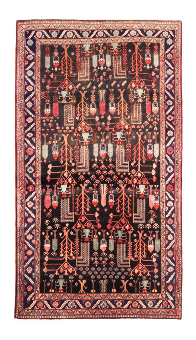 Kolyai Koberec 270x152cm - Perský koberec