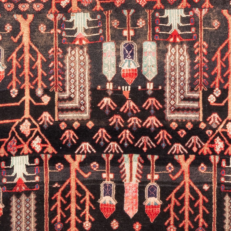 Kolyai Koberec 270x152cm - Perský koberec