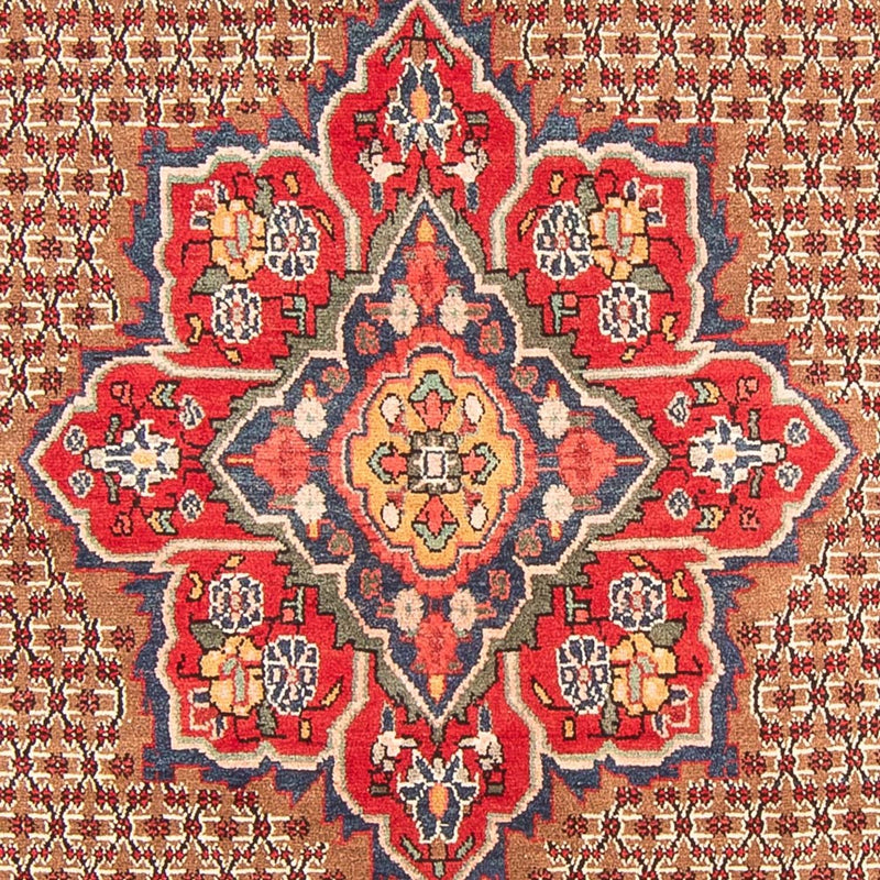 Kolyai Koberec 155x285cm - Perský koberec