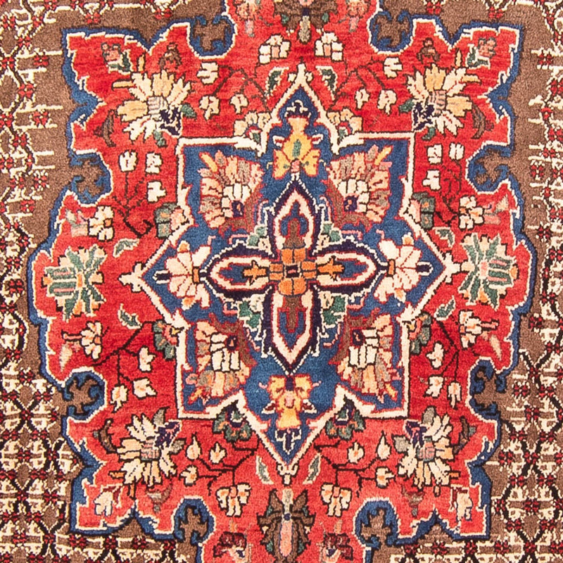Kolyai Koberec 155x298cm - Perský koberec