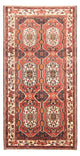 Bakhtiari Koberec 166x300cm - Perský koberec