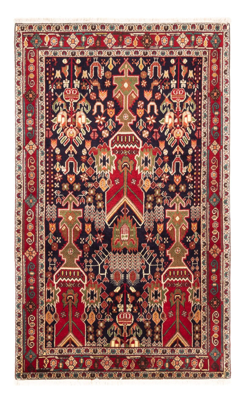 Afshar Sirjan Koberec 155x100cm - Perský koberec