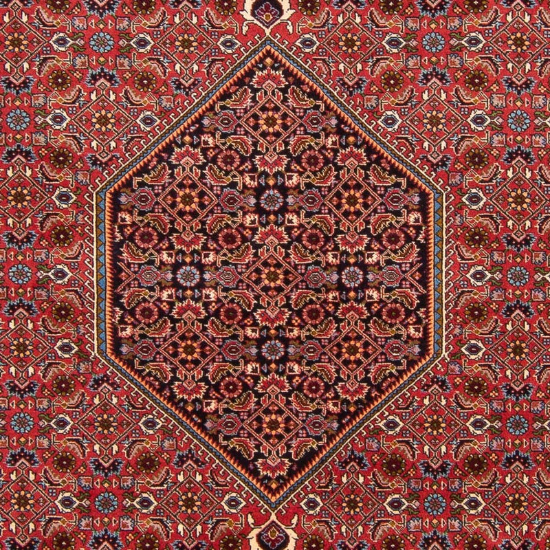 Bidjar - Bukan Koberec 301x200cm - Perský koberec
