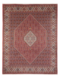 Bidjar - Bukan Koberec 250x337cm - Perský koberec - tmavě červená – product image