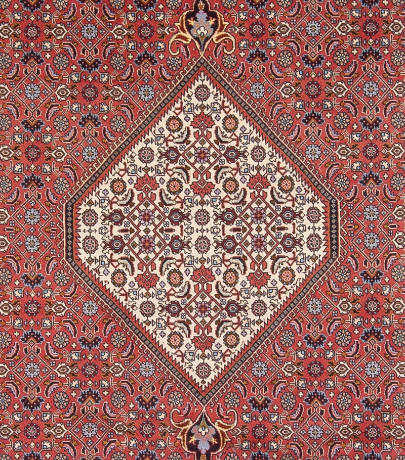 Bidjar - Bukan Koberec 250x337cm - Perský koberec - tmavě červená