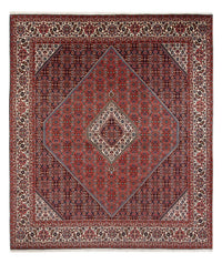Bidjar - Bukan Koberec 243x290cm - Perský koberec – product image