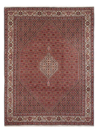 Bidjar - Bukan Koberec 247x343cm - Perský koberec – product image