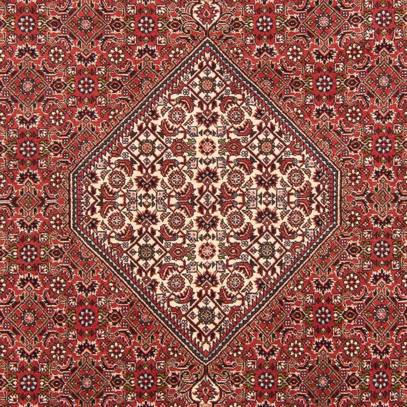 Bidjar - Bukan Koberec 202x290cm - Perský koberec - červená