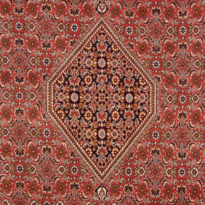 Bidjar - Bukan Koberec 200x290cm - Perský koberec