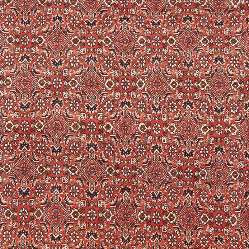 Bidjar - Bukan Koberec 305x200cm - Perský koberec