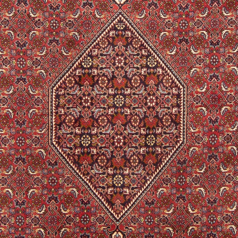 Bidjar - Bukan Koberec 200x301cm - Perský koberec - červená