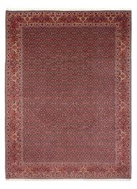 Bidjar - Bukan Koberec 337x260cm - Perský koberec – product image