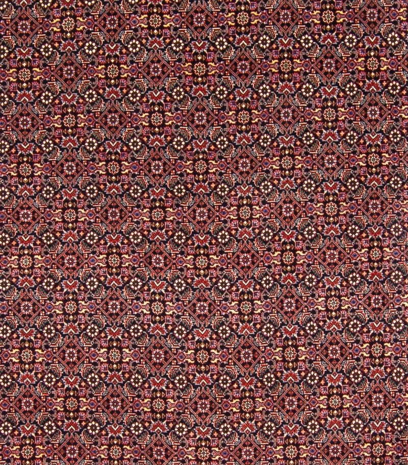 Bidjar - Bukan Koberec 337x260cm - Perský koberec