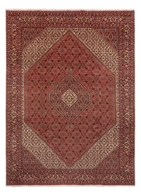 Bidjar - Bukan Koberec 250x350cm - Perský koberec - tmavě červená – product image