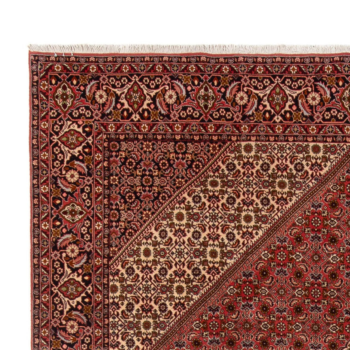 Bidjar - Bukan Koberec 250x350cm - Perský koberec - tmavě červená
