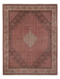 Bidjar - Bukan Koberec 248x334cm - Perský koberec – product image