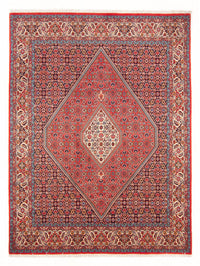 Bidjar - Bukan Koberec 267x200cm - Perský koberec – product image