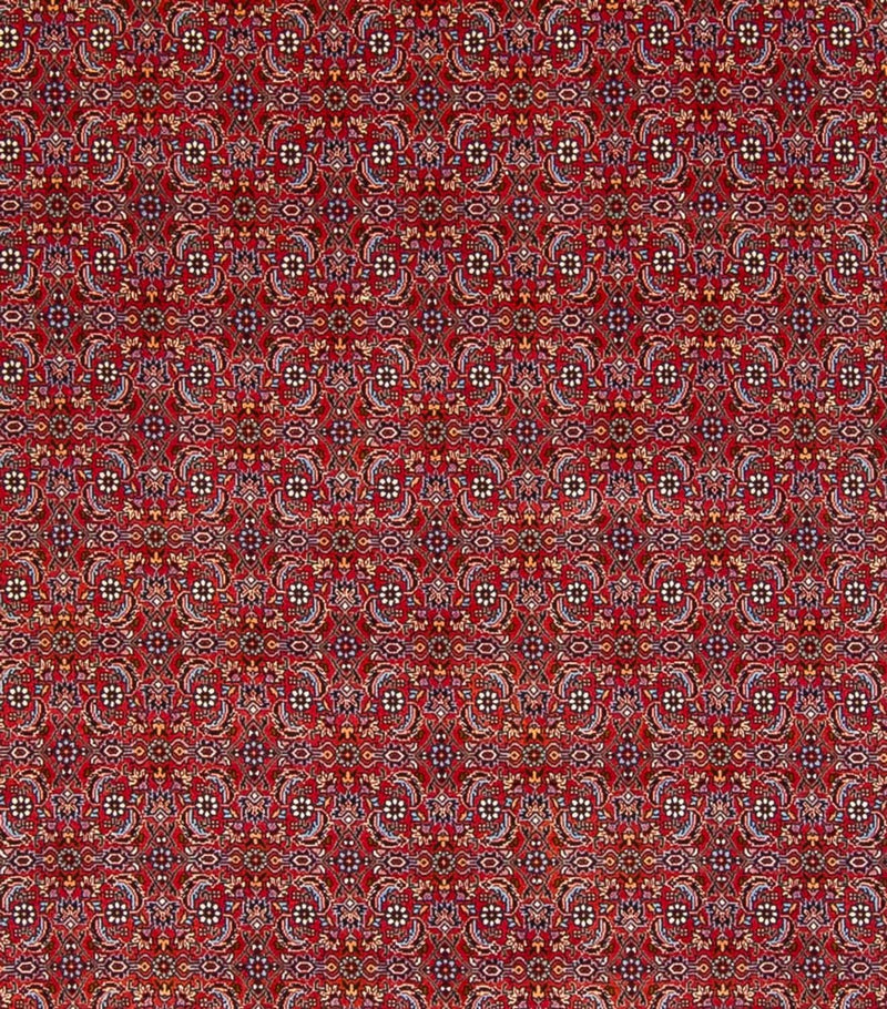 Bidjar - Takab Koberec 347x254cm - Perský koberec