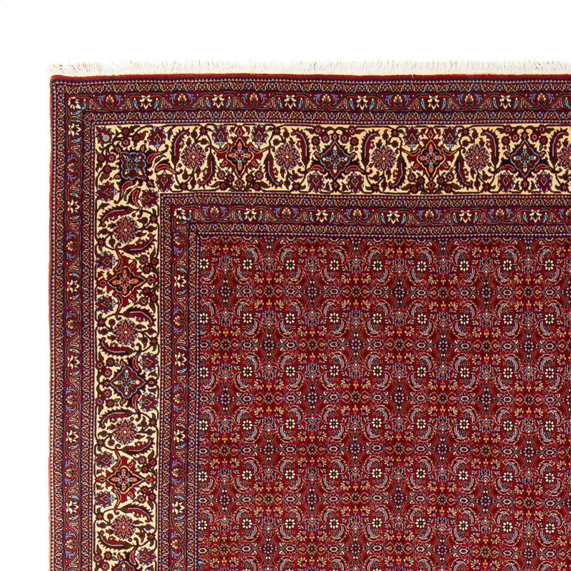 Bidjar - Takab Koberec 347x254cm - Perský koberec