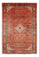 Kolyai Koberec 314x216cm - Perský koberec