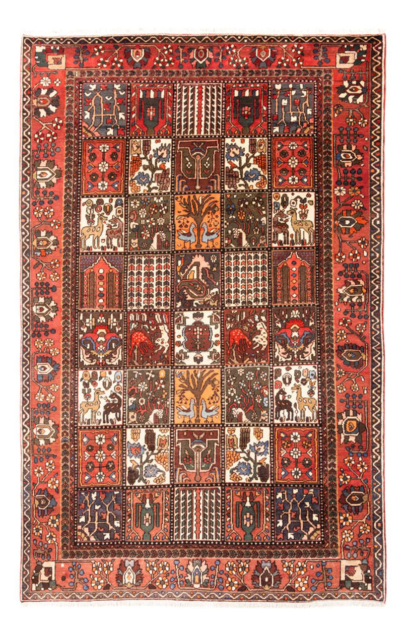 Bakhtiari Koberec 207x314cm - Perský koberec