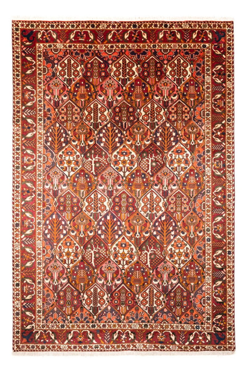 Bakhtiari Koberec 308x210cm - Perský koberec
