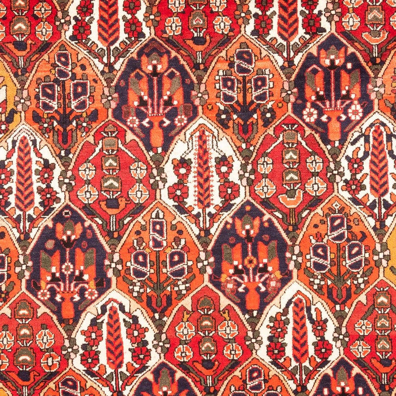 Perský koberec - Nomádský - 300 x 220 cm - vícebarevné