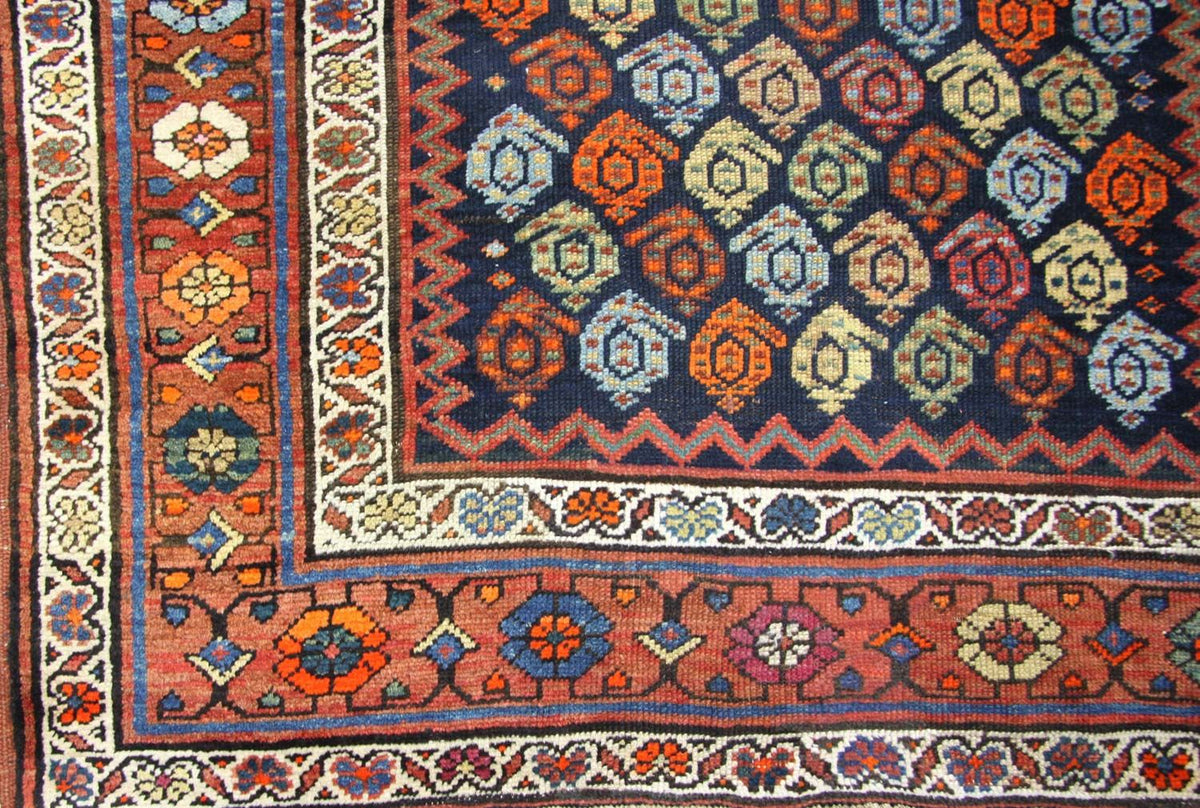 Shirvan Koberec 113x440cm - Orientální koberec
