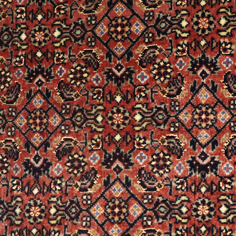 Bidjar Koberec 72x142cm - Perský koberec