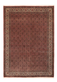 Bidjar Koberec 256x350cm - Perský koberec – product image