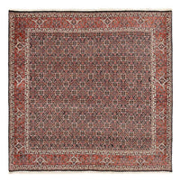Bidjar Koberec 205x205cm - Perský koberec - rezavá – product image