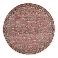 Bidjar Koberec 250x250cm - Perský koberec – product image