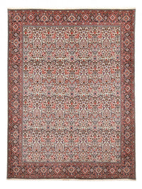 Bidjar Koberec 251x351cm - Perský koberec – product image