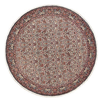Bidjar Koberec 250x250cm - Perský koberec – product image