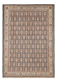 Kashkuli Koberec 290x202cm - Perský koberec – product image