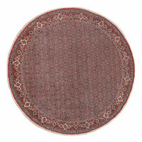 Bidjar Koberec 300x300cm - Perský koberec – product image