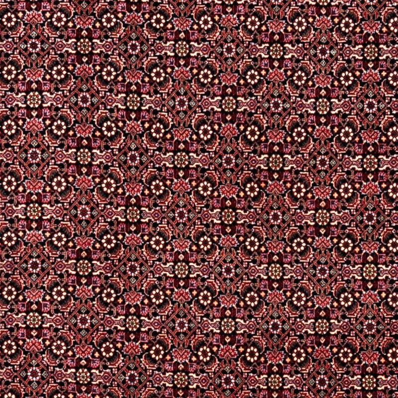 Bidjar - Takab Koberec 250x346cm - Perský koberec