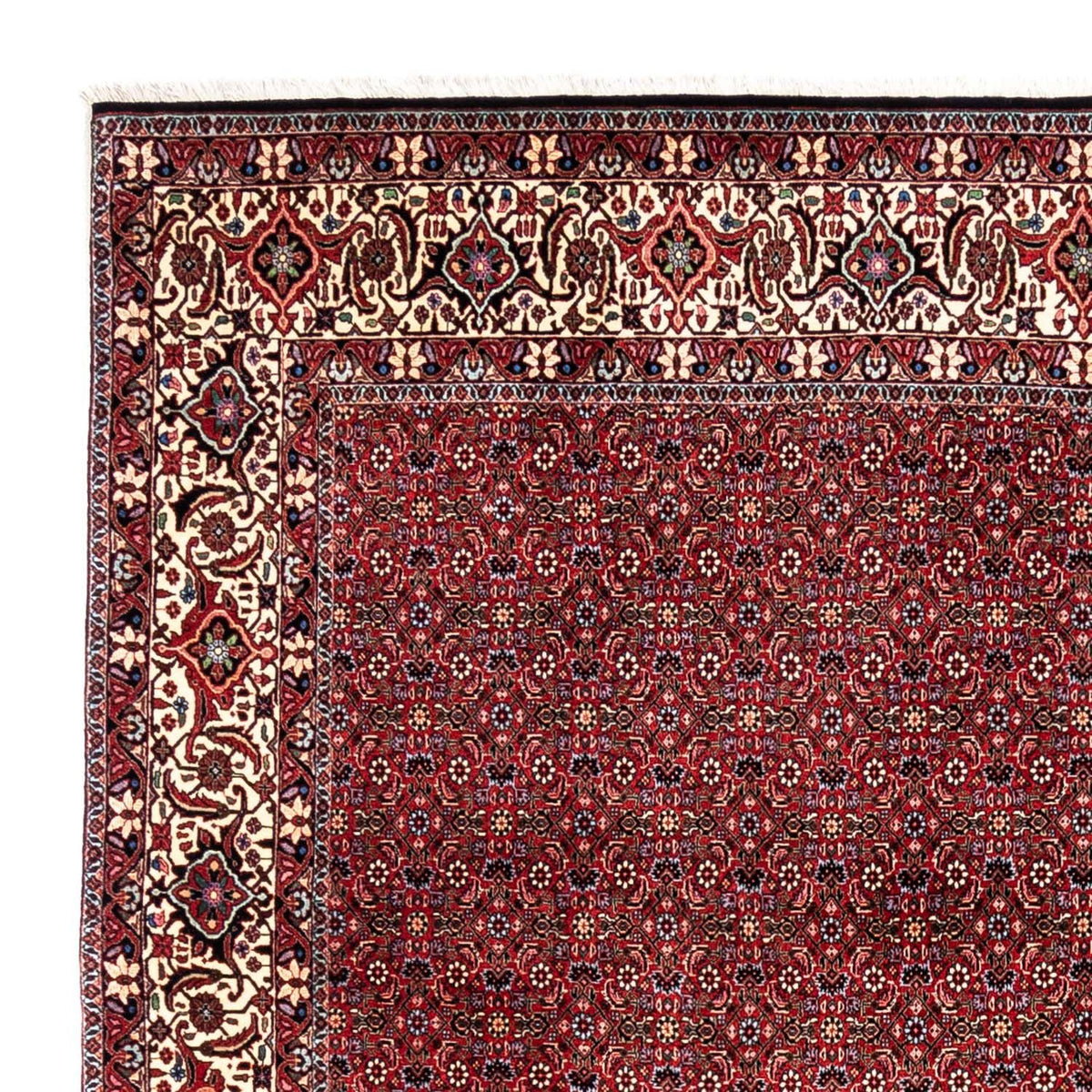 Bidjar - Takab Koberec 254x331cm - Perský koberec