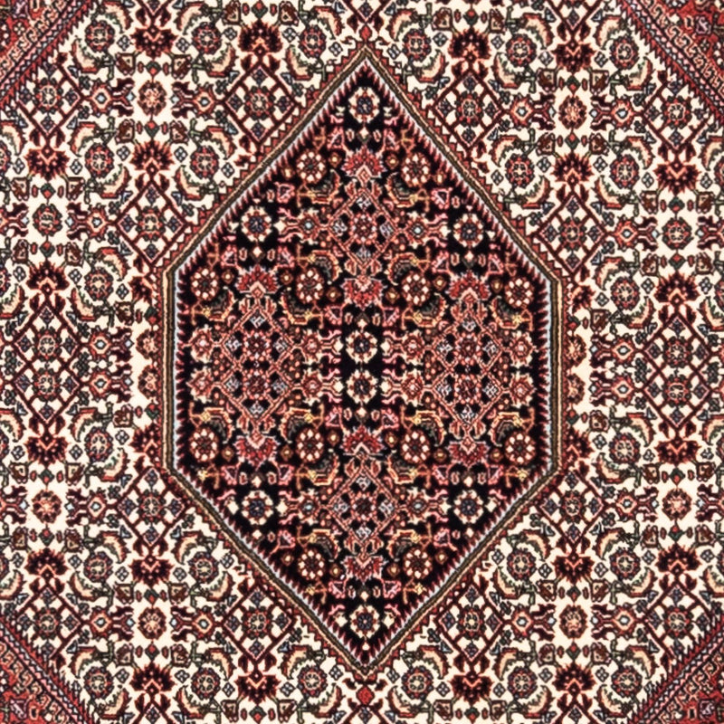 Bidjar - Takab Koberec 200x295cm - Perský koberec