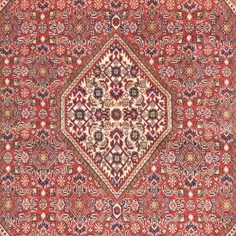Bidjar - Zanjan Koberec 108x184cm - Perský koberec