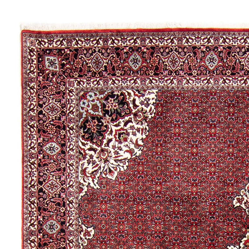Bidjar Koberec 260x343cm - Perský koberec