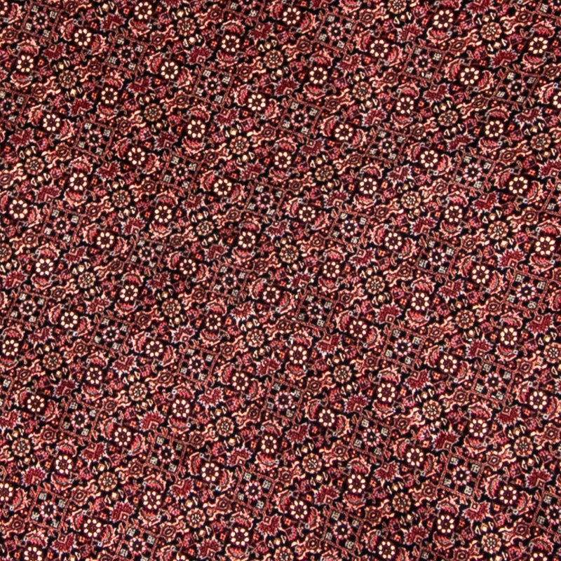 Bidjar Koberec 250x250cm - Perský koberec - červená